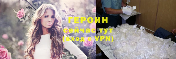 гидра Заводоуковск