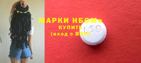 гидра Заводоуковск