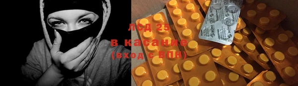 гидра Заводоуковск