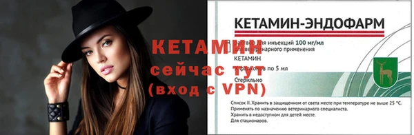 гидра Заводоуковск