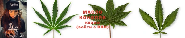 гидра Заводоуковск