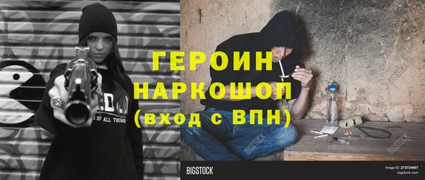 гидра Заводоуковск