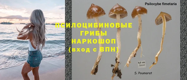 гидра Заводоуковск