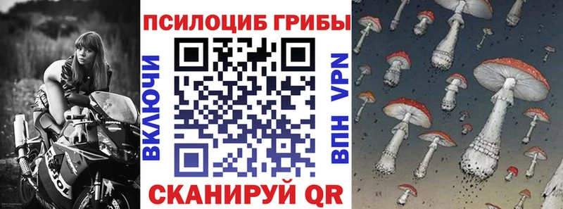 гидра маркетплейс  купить закладку  Новошахтинск  Псилоцибиновые грибы прущие грибы 